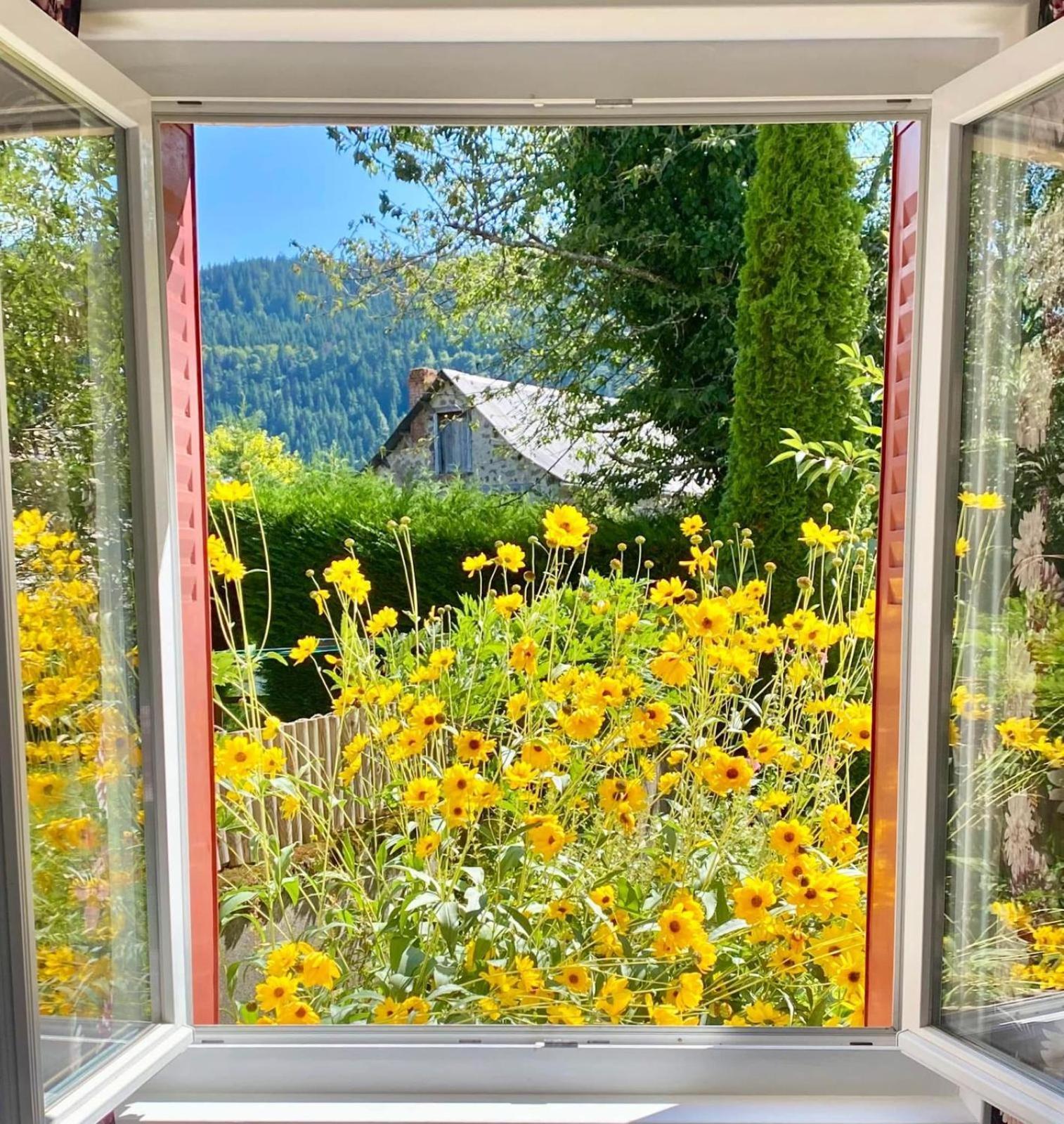 Hotel Restaurant Du Plomb Du Cantal Murat  Εξωτερικό φωτογραφία
